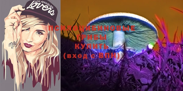 герыч Елабуга