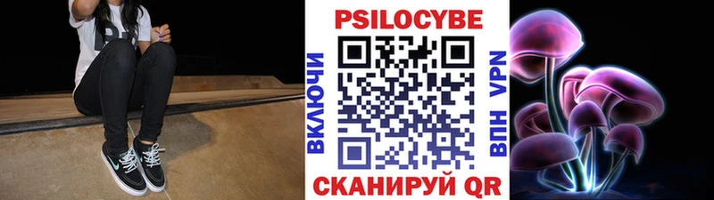 Псилоцибиновые грибы GOLDEN TEACHER  Альметьевск 